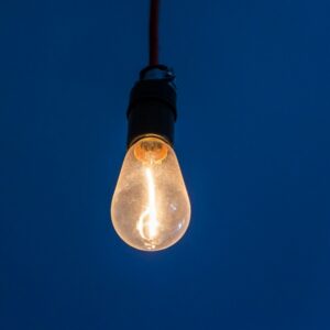 leadership that works newsletter